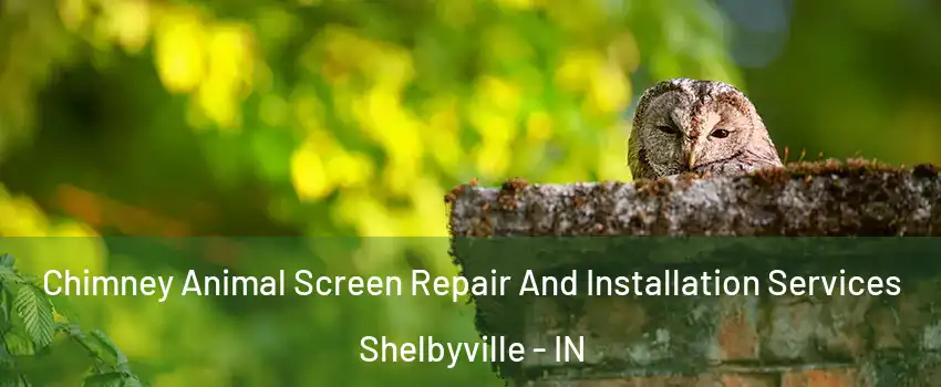  Chimney Animal Screen Repair And Installation Services Shelbyville - IN