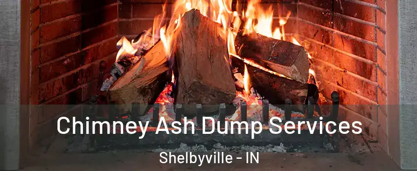  Chimney Ash Dump Services Shelbyville - IN