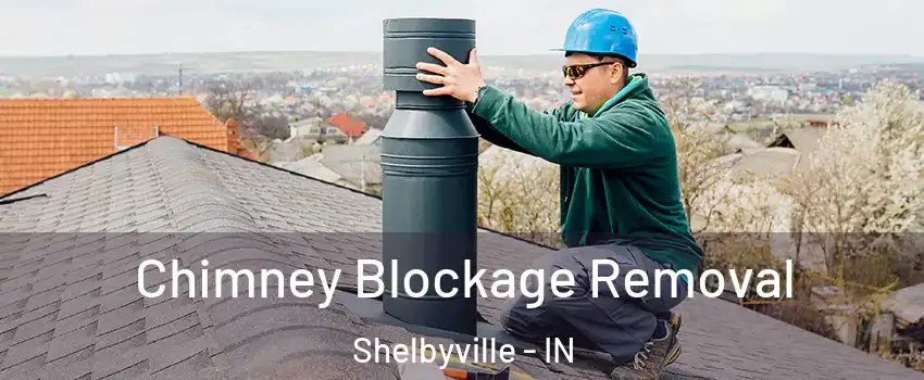 Chimney Blockage Removal Shelbyville - IN