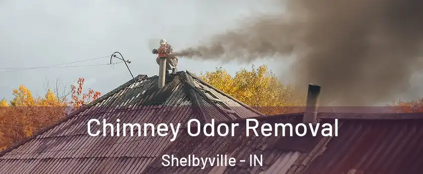  Chimney Odor Removal Shelbyville - IN