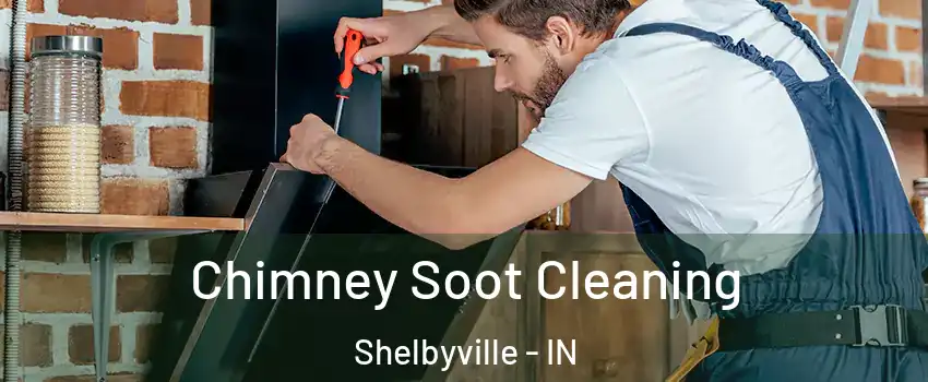  Chimney Soot Cleaning Shelbyville - IN
