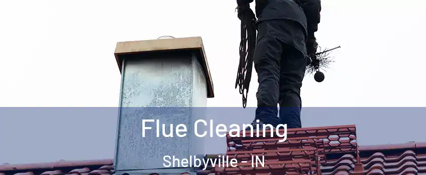  Flue Cleaning Shelbyville - IN
