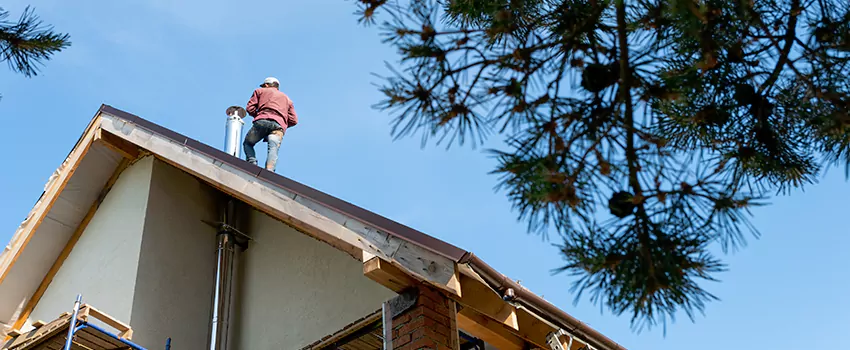 Birds Removal Contractors from Chimney in Shelbyville, IN