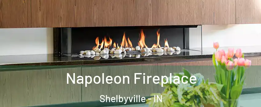  Napoleon Fireplace Shelbyville - IN